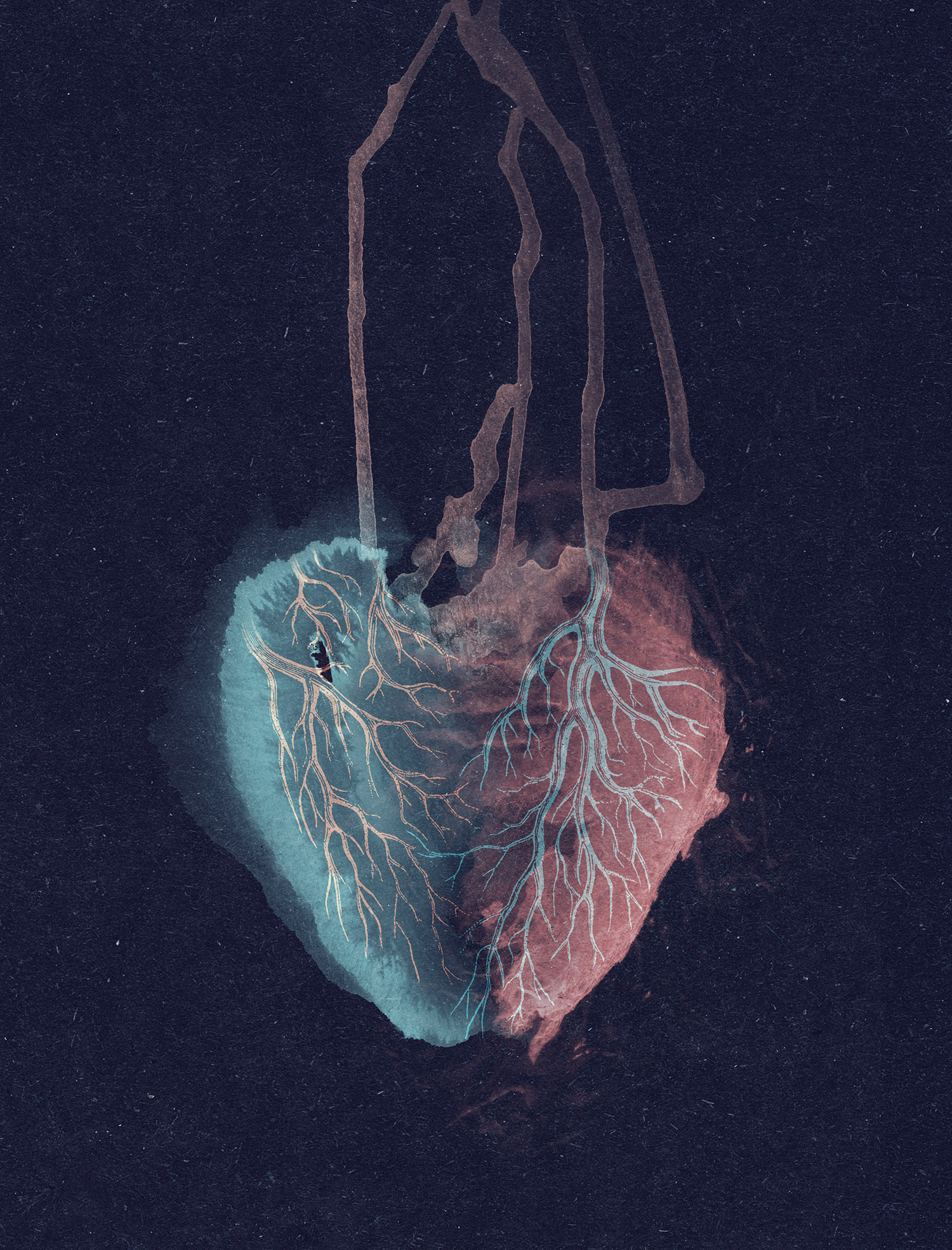 heartheartcover3