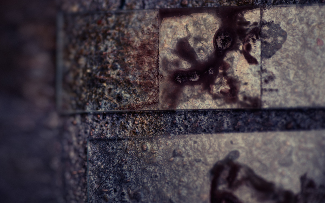 tumblr_mt11c4FKUD1qa0uc2o6_1280